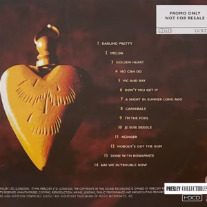 Mark Knopfler Golden Heart