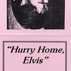 Hurry Home Elvis Vol 1 Donna Lewis' Diaries 1962-1966
