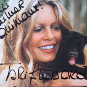 Brigitte Bardot Autographed Postcard: 6x4 colour calf image with black ink inscription, product details, COA included, Buy French Cinema memorabilia from Presley Collectibles, tracked delivery.