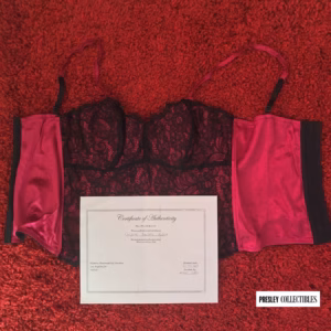 Christina Aguilera Owned Bustier