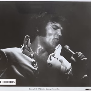 Elvis Presley That's The Way It Is