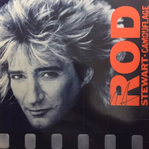 Rod Stewart Camouflage