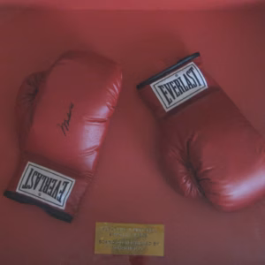 Artist of The Month January 2018 – Muhammad Ali