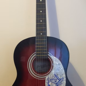 Pink Floyd Signed Guitar