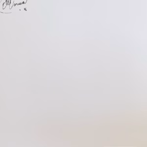 Viviana Verveen Autograph