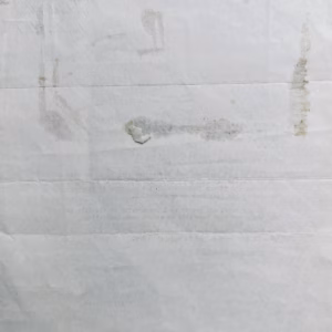 Cliff Richard Signed Letter