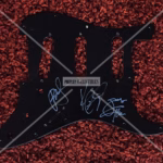 Extreme Signed Scratchplate