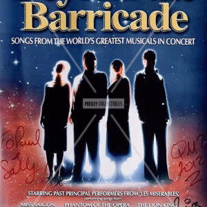 Beyond The Barricade Poster Medium
