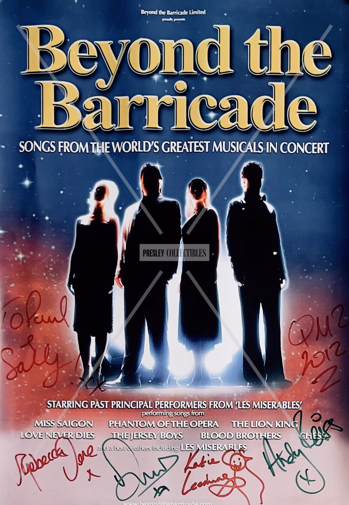 Beyond The Barricade Poster Medium