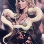 Britney Spears Photo
