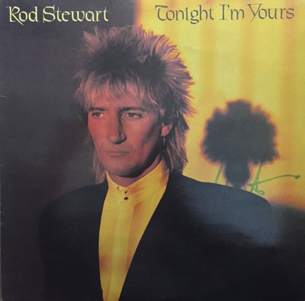 Rod Stewart Hand Signed Tonight I'm Yours LP
