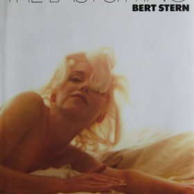 The Last Sitting Hardcover – 1993