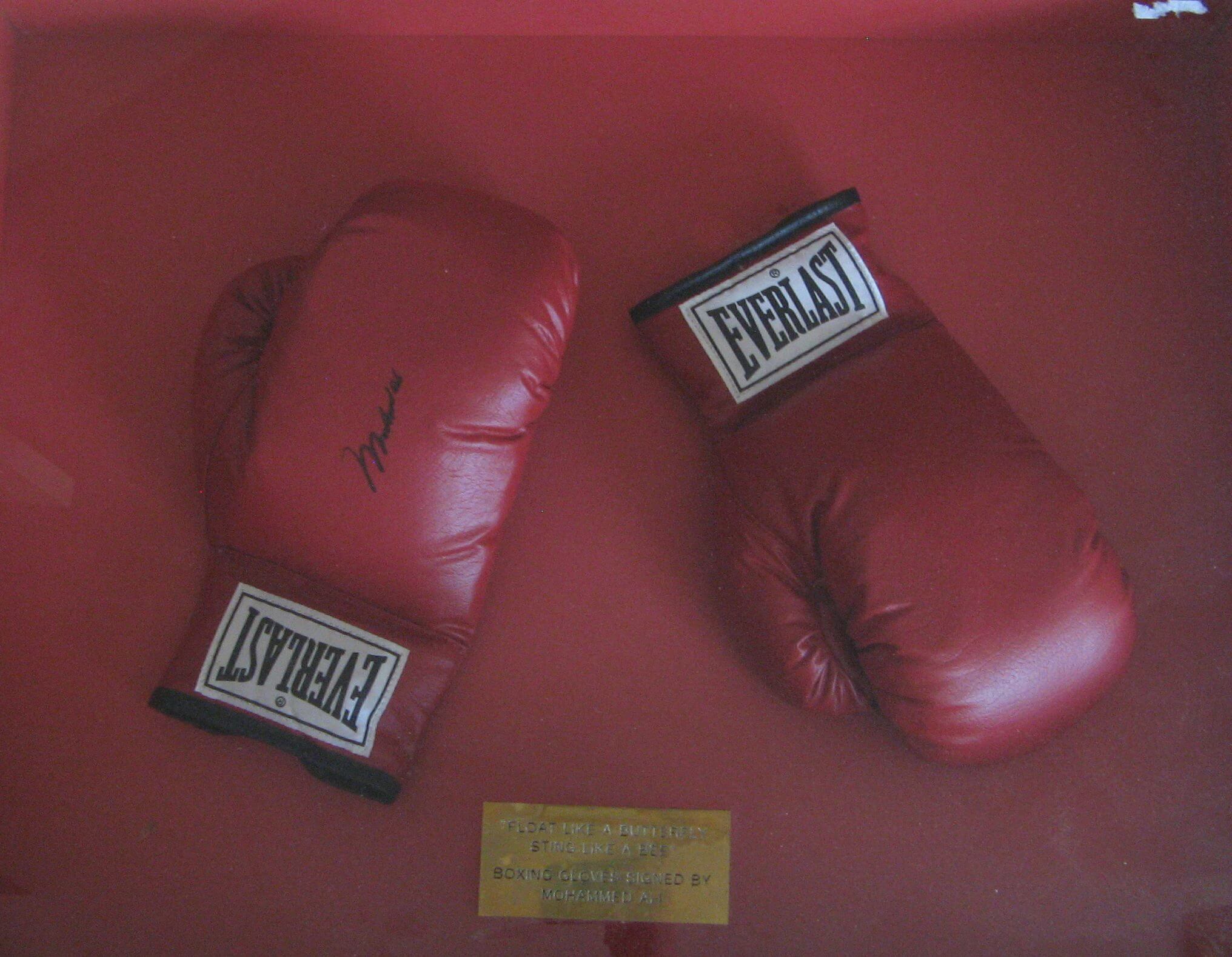 Details about   EVERLAST MUHAMMAD ALI SIGNATURE COLLECTION 12OZ PRO STYLE BOXING GLOVES