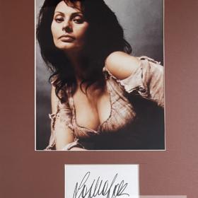 Sophia Loren Autograph Display